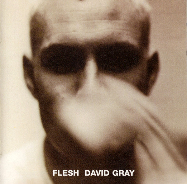 David Gray - Flesh