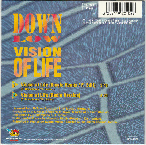 Down Low - Vision Of Life