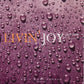 Livin' Joy - Dreamer