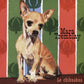 Mara Tremblay - Le Chihuahua