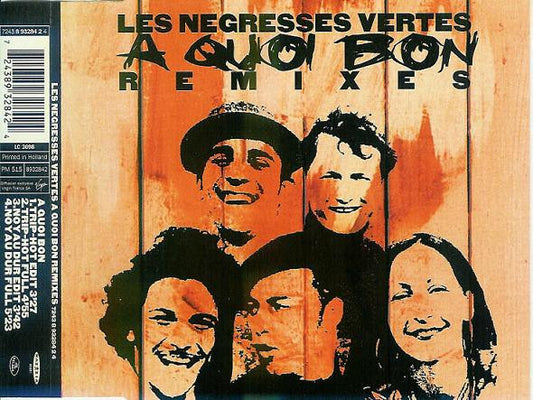 Les Negresses Vertes - A Quoi Bon (Remixes)