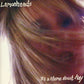 Lemonheads, The - It's A Shame About Ray