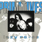 Primitives, The - Lazy 86 - 88