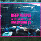 Deep Purple - In The Absence Of Pink - Knebworth 85