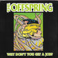 The Offspring - Why Don't You Get A Job?