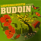 Loopsinacoustik & Friends Buddin