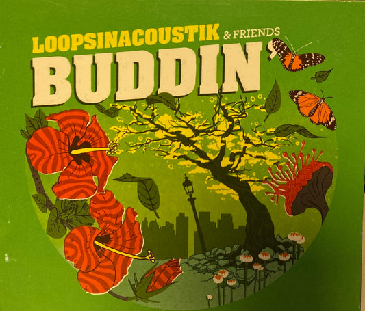 Loopsinacoustik & Friends Buddin