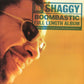 Shaggy – Boombastic